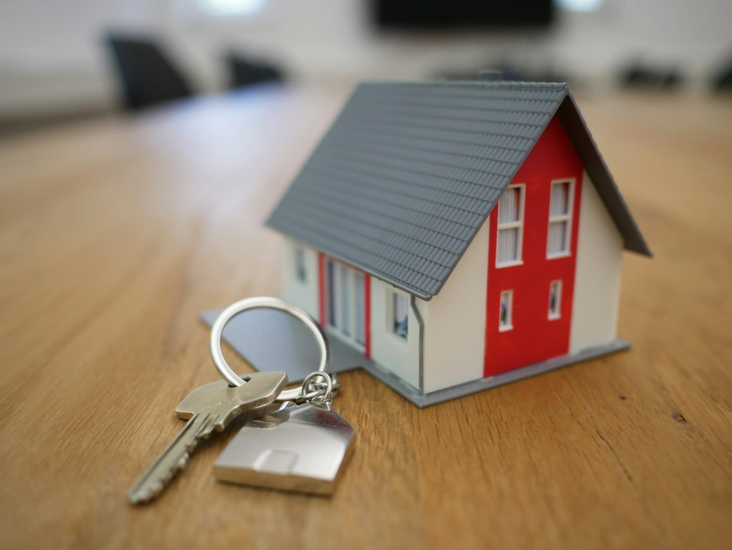 Property & Landlords